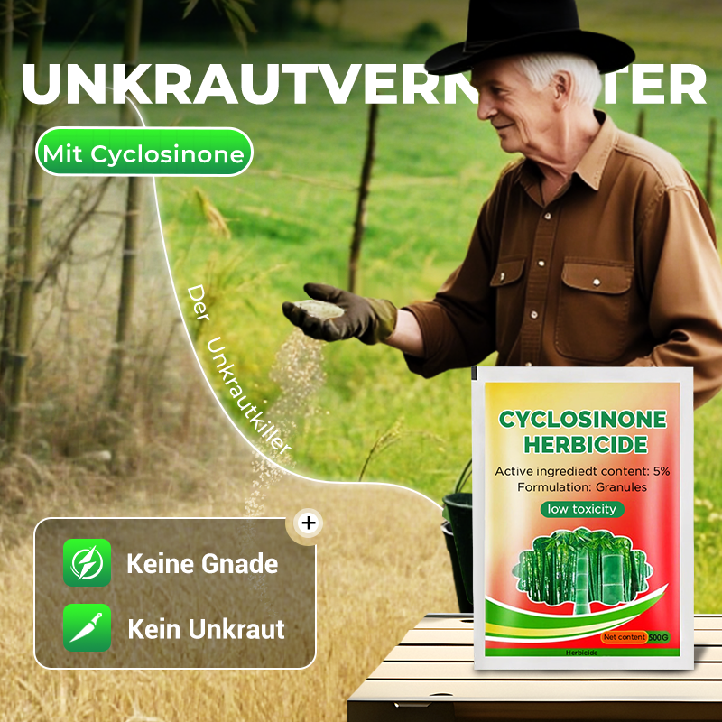 Diserbo professionale, bambù, alberi, senza inquinamento per rendere il cortile più pulito 