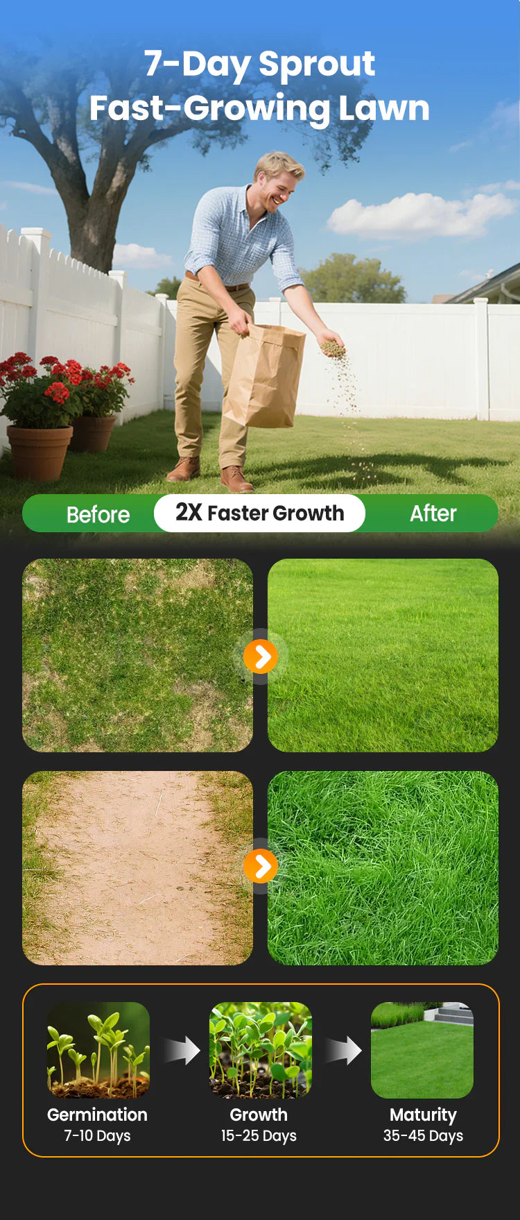 Vierseizoenen Evergreen Graszaad