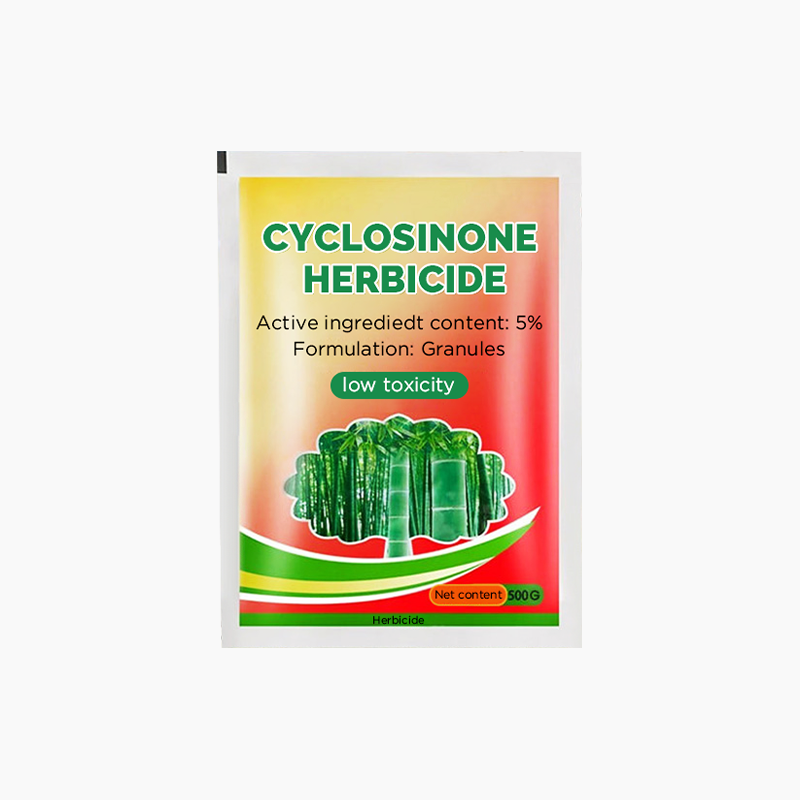 Diserbo professionale, bambù, alberi, senza inquinamento per rendere il cortile più pulito 