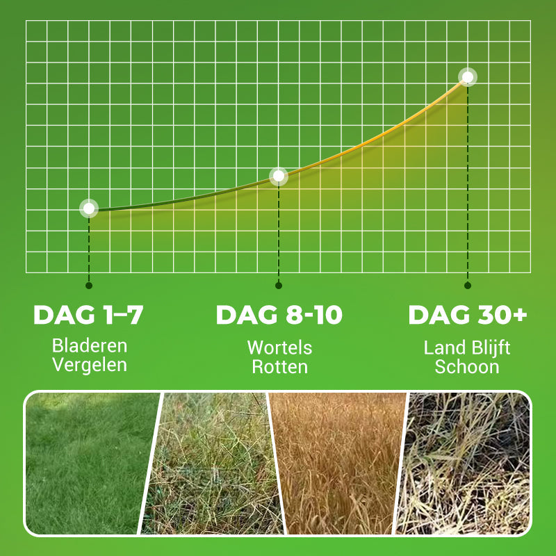 🔥Krachtig Geconcentreerd Onkruidbestrijdingsmiddel🔥 