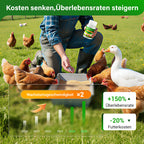 Additivi per mangimi per l'allevamento avicolo 