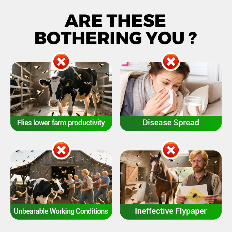 Mezzo universale, altamente efficace e sicuro per il controllo delle mosche