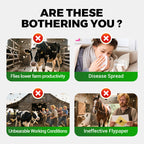 Mezzo universale, altamente efficace e sicuro per il controllo delle mosche