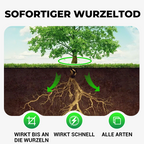 Diserbo professionale, bambù, alberi, senza inquinamento per rendere il cortile più pulito 