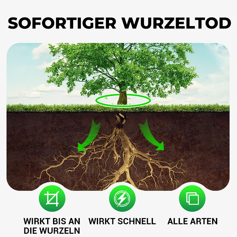 Diserbo professionale, bambù, alberi, senza inquinamento per rendere il cortile più pulito 