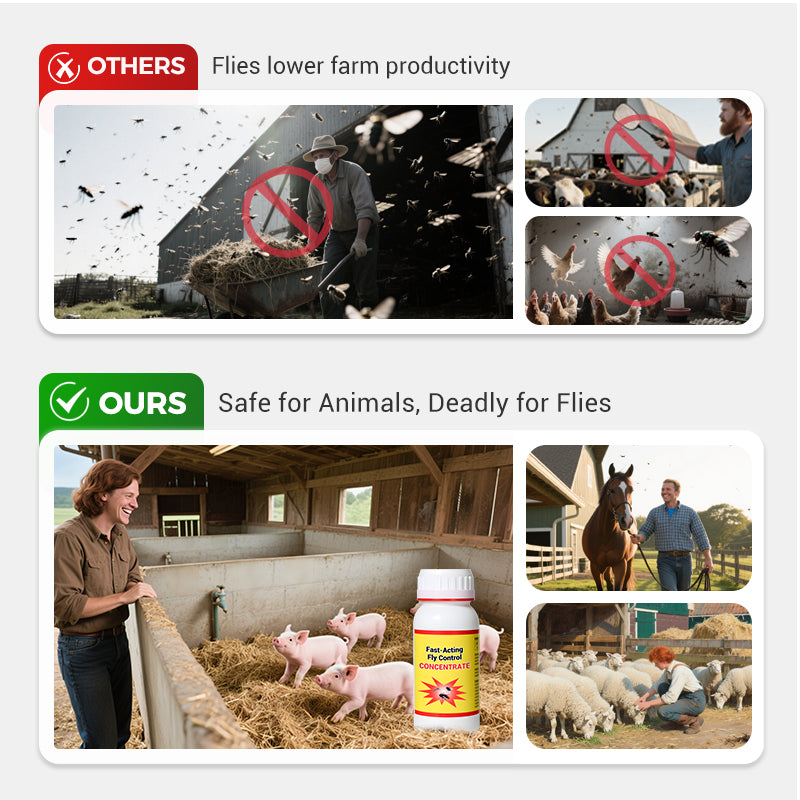 Mezzo universale, altamente efficace e sicuro per il controllo delle mosche