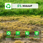 Diserbo professionale, bambù, alberi, senza inquinamento per rendere il cortile più pulito 