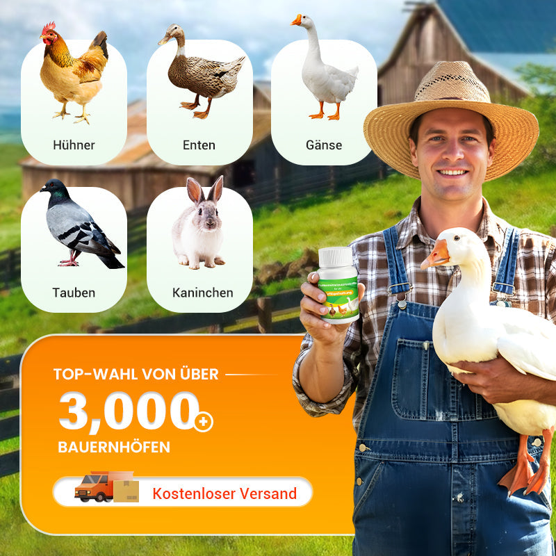 Additivi per mangimi per l'allevamento avicolo 