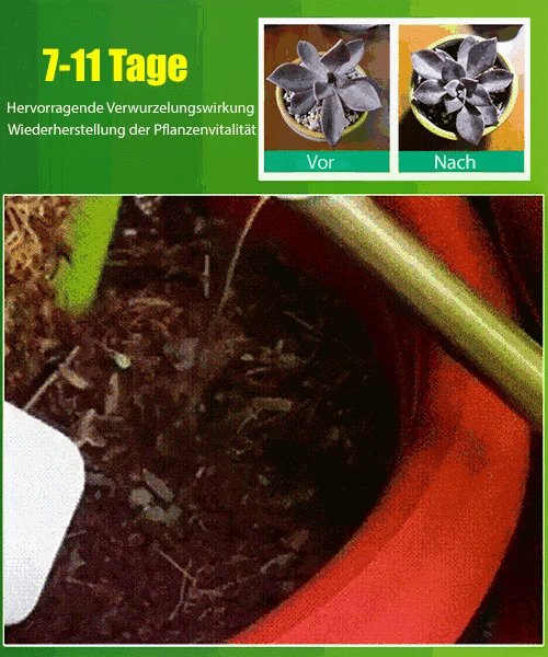 Acquista 3 per 5 (8 bottiglie) Soluzione liquida per l'attivazione di piante e fiori 