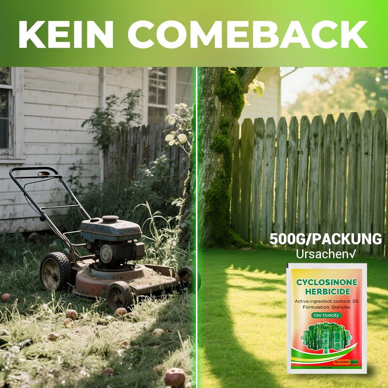 Diserbo professionale, bambù, alberi, senza inquinamento per rendere il cortile più pulito 