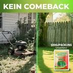 Diserbo professionale, bambù, alberi, senza inquinamento per rendere il cortile più pulito 