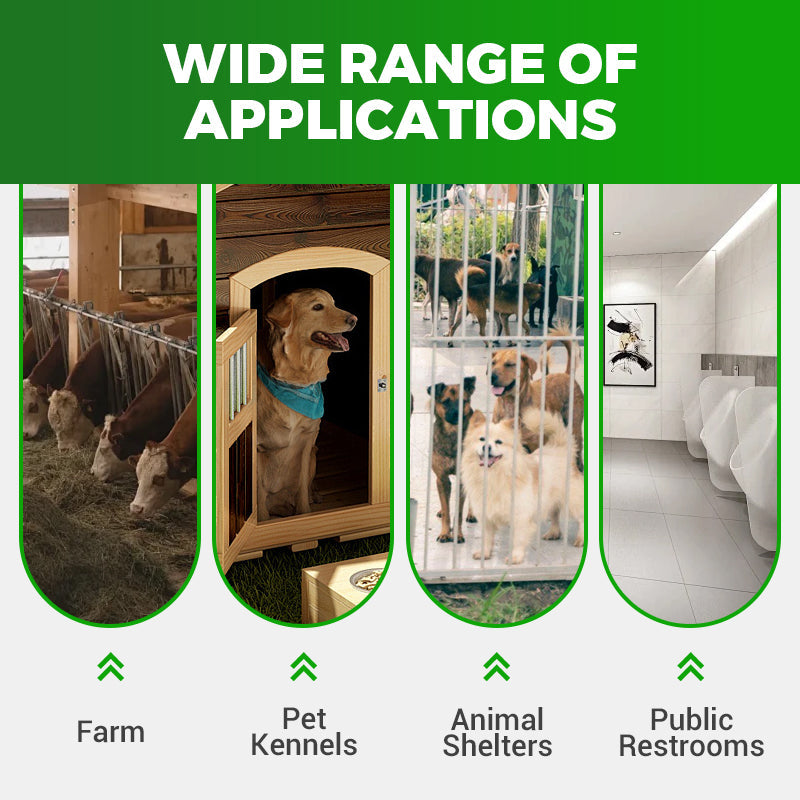 Mezzo universale, altamente efficace e sicuro per il controllo delle mosche