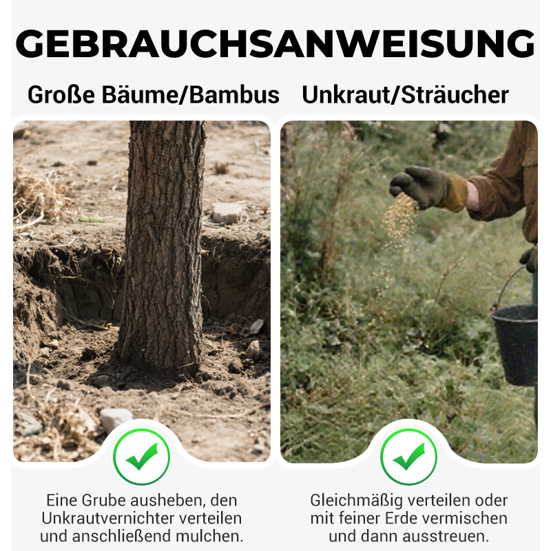 Diserbo professionale, bambù, alberi, senza inquinamento per rendere il cortile più pulito 