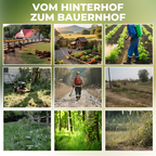 Diserbo professionale, bambù, alberi, senza inquinamento per rendere il cortile più pulito 