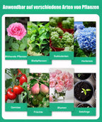 Acquista 3 per 5 (8 bottiglie) Soluzione liquida per l'attivazione di piante e fiori 