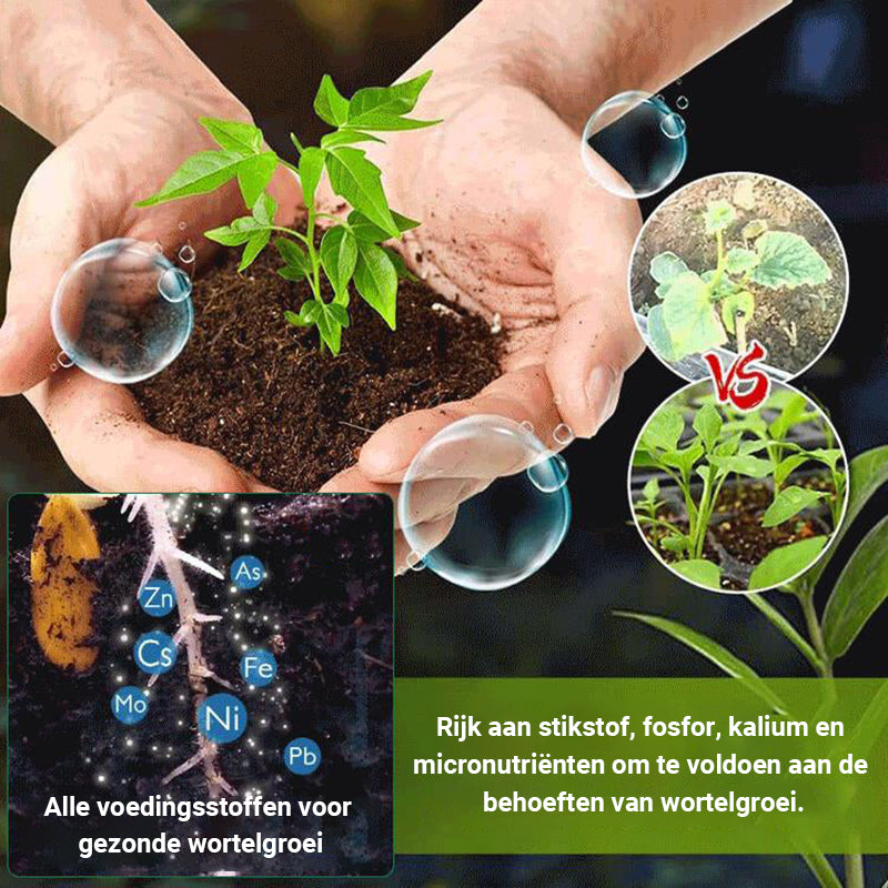 Pianta Haarwortel Groei Voedingspoeder 