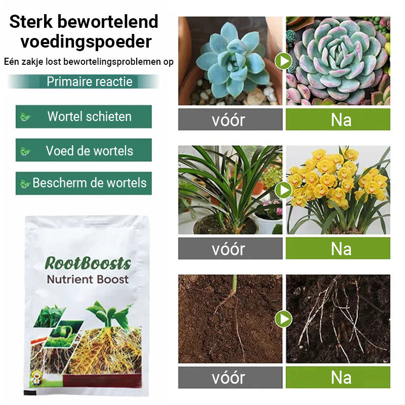 Pianta Haarwortel Groei Voedingspoeder 