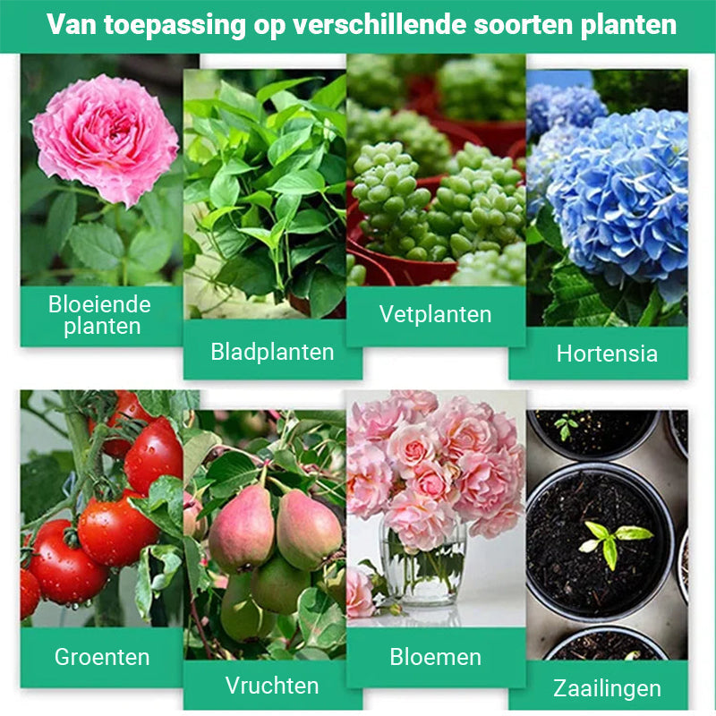 Pianta Haarwortel Groei Voedingspoeder 