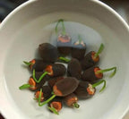 Semi di loto in vaso bonsai (colori misti) 