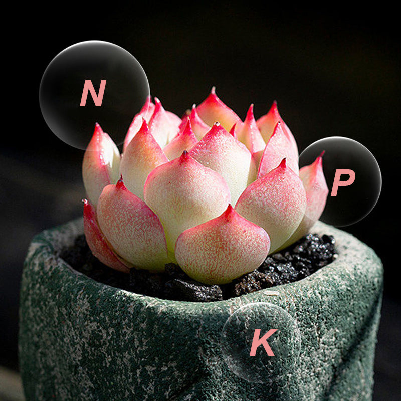 🔥 Langzaam vrijkomende meststof in tabletvorm voor Plants🌱