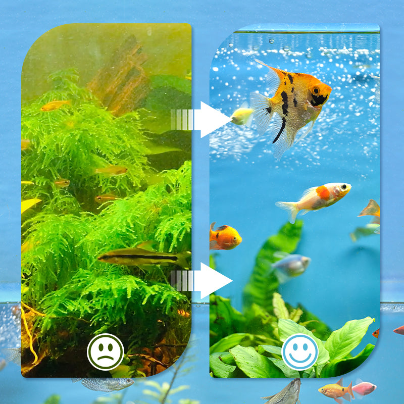 🎉Verkoop van de week 🎉Professioneel 8D protezione del filtro dell'acquario ad alta densità🐠