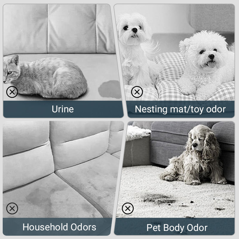 🔥Spray antiodore per animali domestici🐕