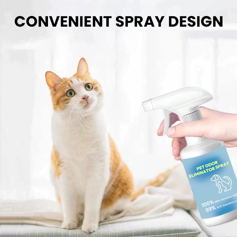 🔥Spray antiodore per animali domestici🐕