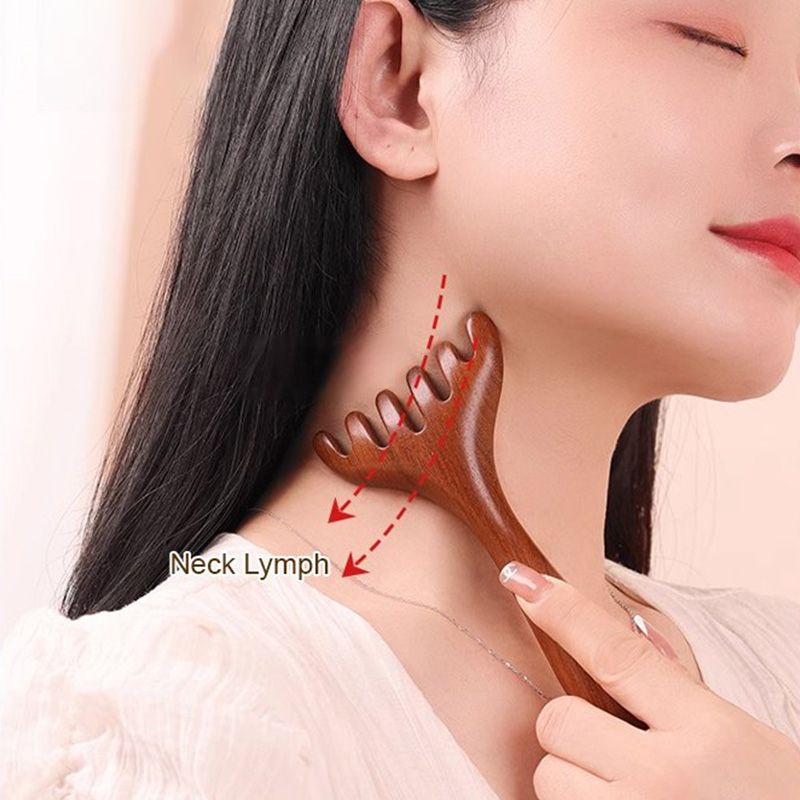 Massaggio Meridiaan Zes-klauw Kam 