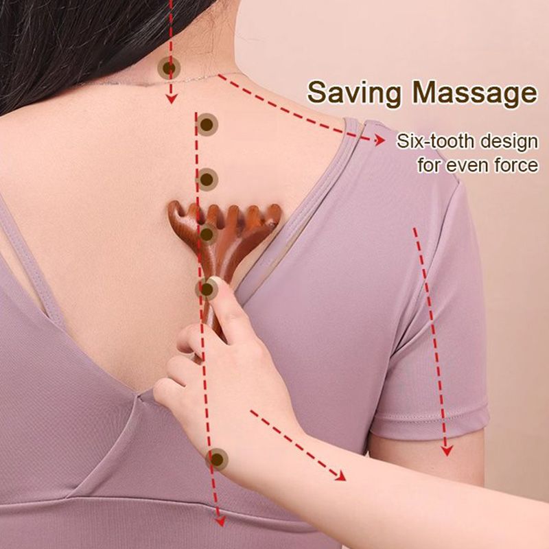 Massaggio Meridiaan Zes-klauw Kam 