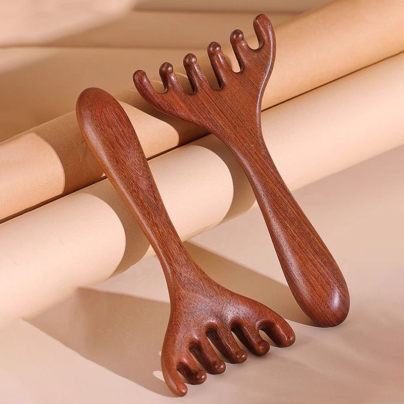 Massaggio Meridiaan Zes-klauw Kam 