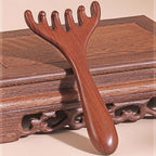 Massaggio Meridiaan Zes-klauw Kam 