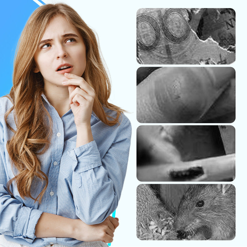 Potente soppressore di rumore ad ultrasuoni per Thuisgebruik