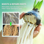 Voedingsoplossing idroponico per piante di grandi dimensioni