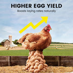 Voedingsupplement per una migliore produzione di uova