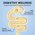 Voedingsupplement per una migliore produzione di uova