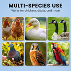 Voedingsupplement per una migliore produzione di uova