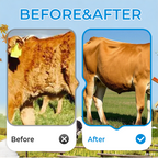 Agenti vermifughi per animali