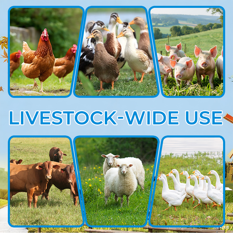 Agenti vermifughi per animali