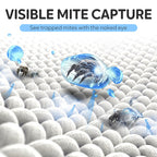 Huisstofmijt Vangvel