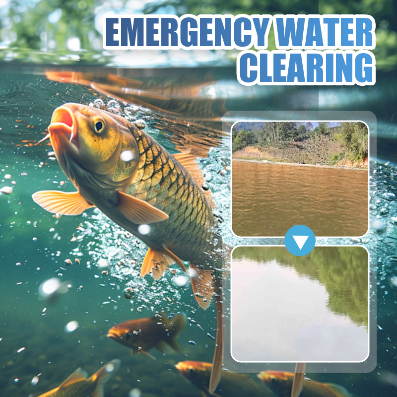 Polvere per il trattamento dell'acqua per stagni