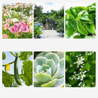 Condizionatore universale multi-azione per il terreno