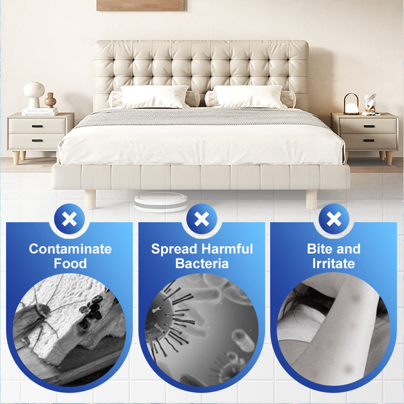 Efficace lokaas tegen scarafaggi