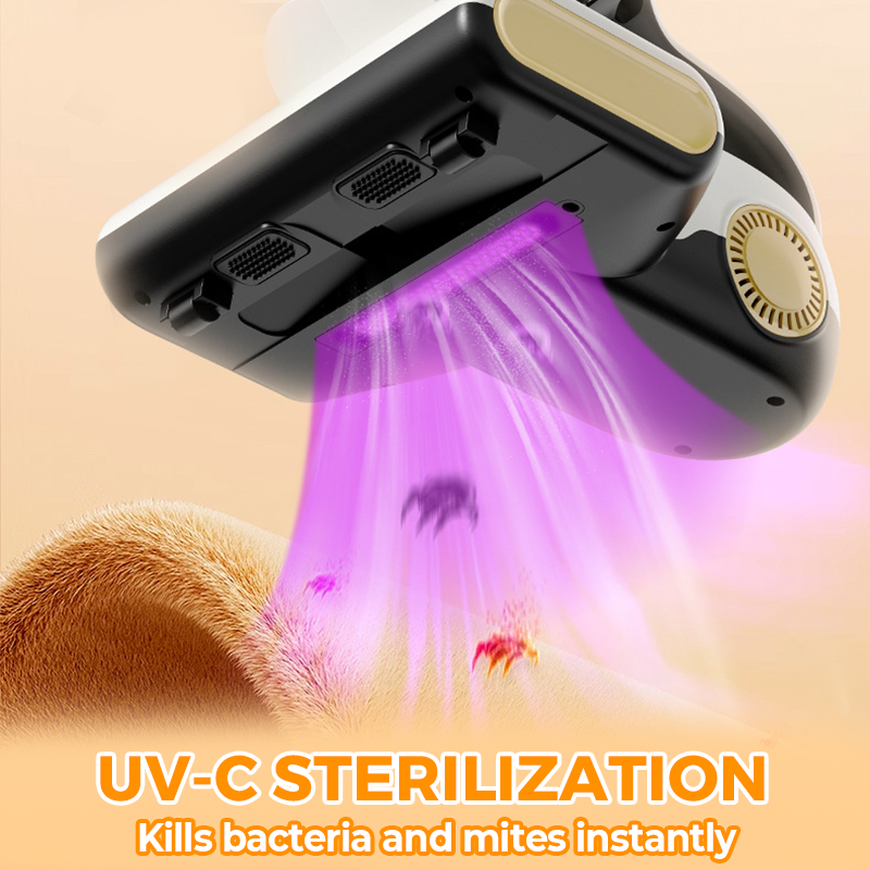 Potente aspirapolvere per materassi