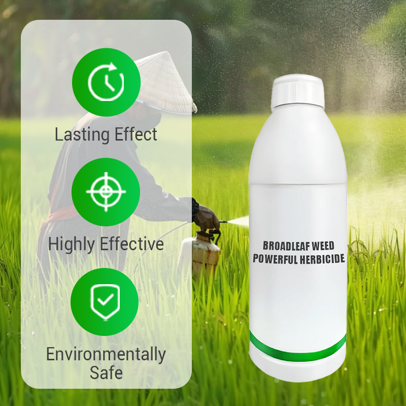 Erbicida potente contro le erbacce a foglia larga