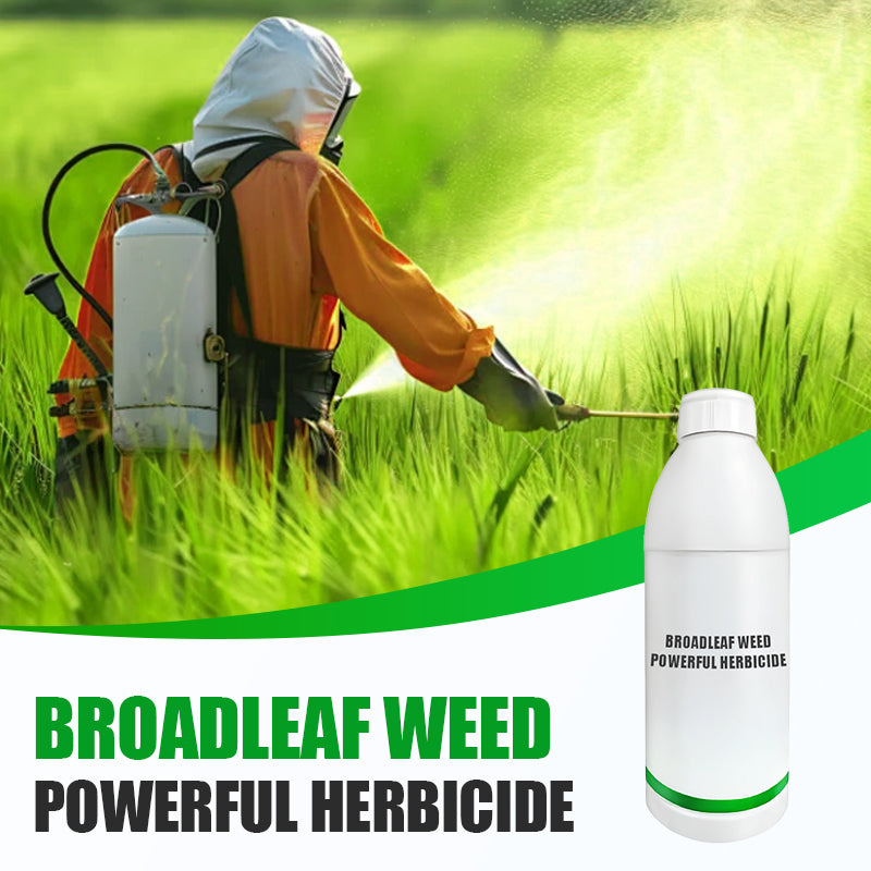 Erbicida potente contro le erbacce a foglia larga