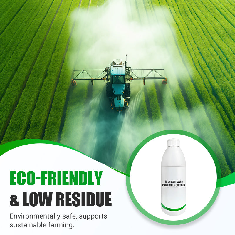 Erbicida potente contro le erbacce a foglia larga