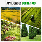 Erbicida potente contro le erbacce a foglia larga