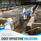 Potente insetticida per uso interno ed esterno