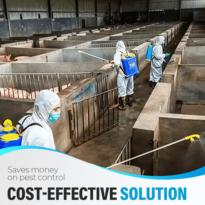 Potente insetticida per uso interno ed esterno