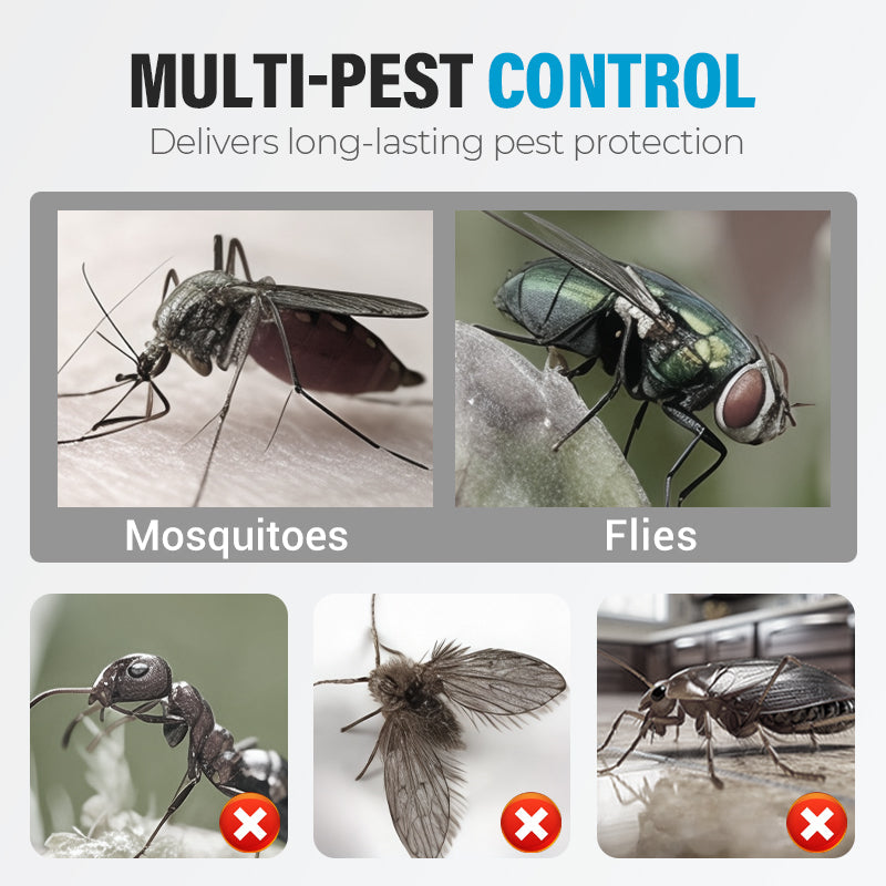 Potente insetticida per uso interno ed esterno